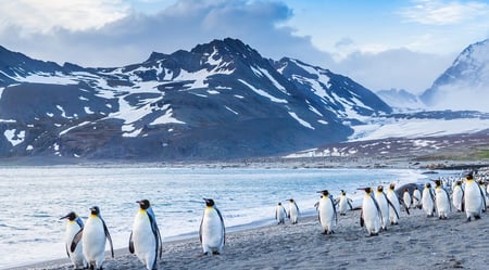 Silversea - Antarctica