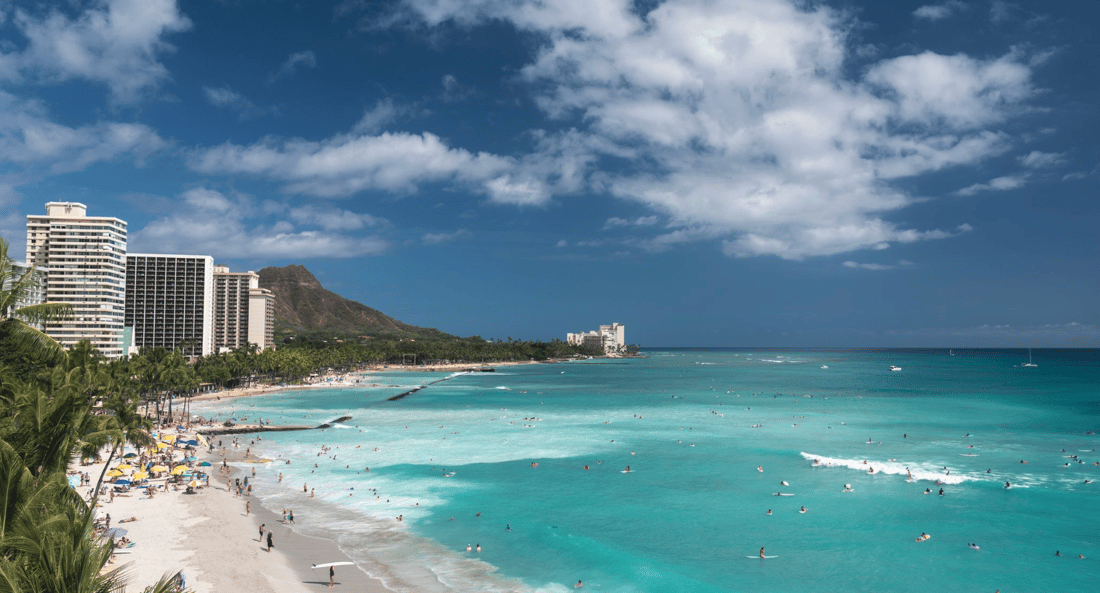Moana Surfrider 3